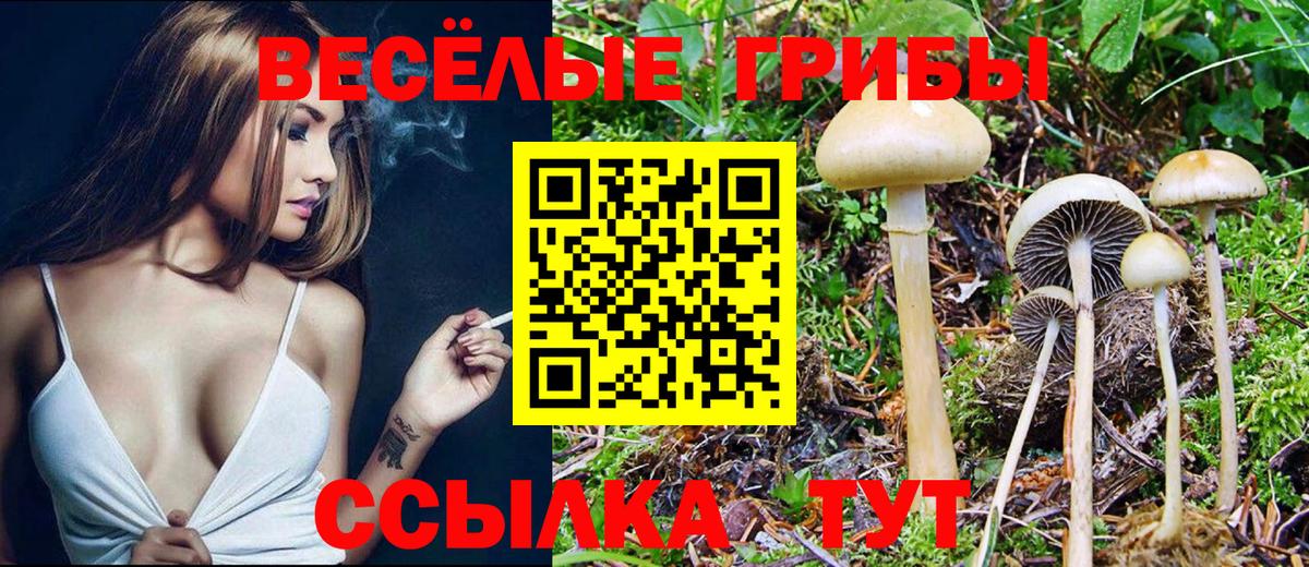 Тимашёвск  Псилоцибиновые грибы MAGIC MUSHROOMS  Вход с VPN 